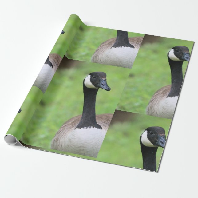 Vad Presentpapper (Utrullad)