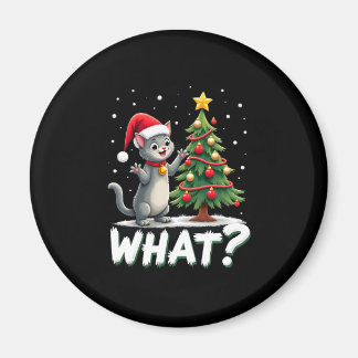 Vad Rolig Katt Knuffar Julgran Över Katt Xma Magnet
