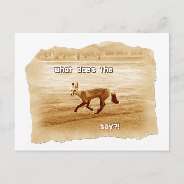 Vad säger räven? vykort (Framsida)