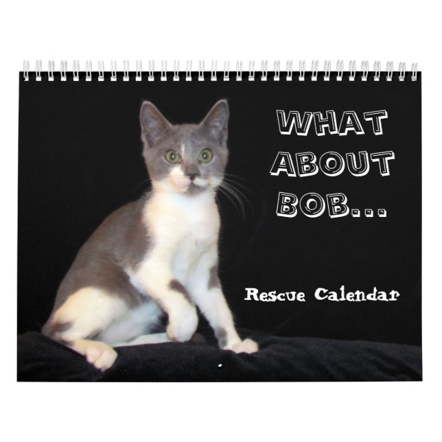 Vad sägs om Bob Kitten-kalendern (katt) Kalender (Omslag)