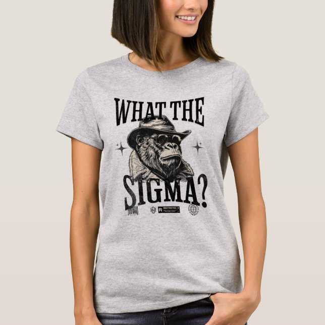 Vad Sigma? Ironic Meme Brainrot T Shirt (Framsida)