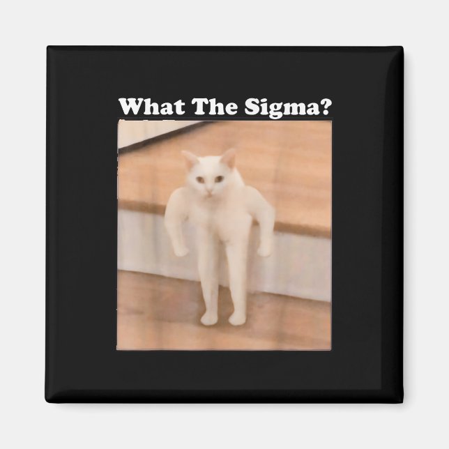 Vad Sigma Meme Cat Memes Internet Memes är för enk Magnet (Framsidan)