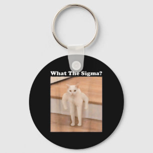 Vad Sigma Meme Cat Memes Internet Memes är för enk Nyckelring