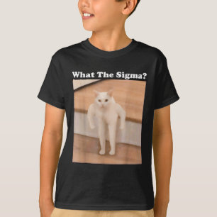 Vad Sigma Meme Cat Memes Internet Memes är för enk T Shirt