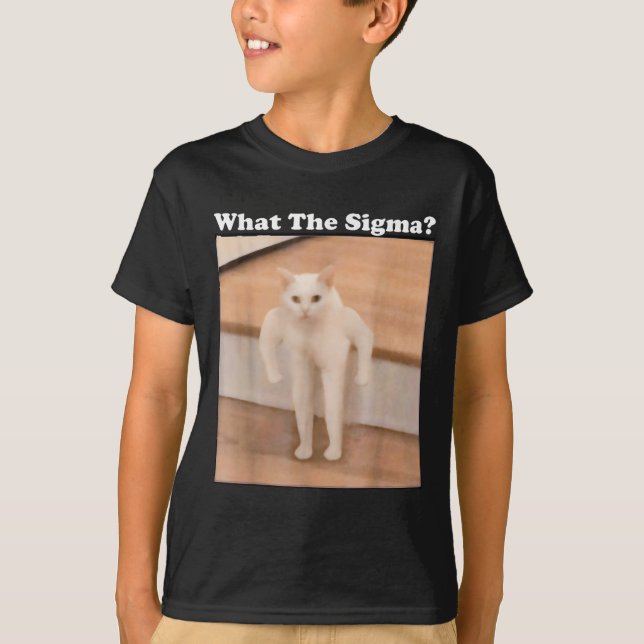 Vad Sigma Meme Cat Memes Internet Memes är för enk T Shirt (Framsida)