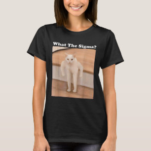 Vad Sigma Meme Cat Memes Internet Memes är för enk T Shirt