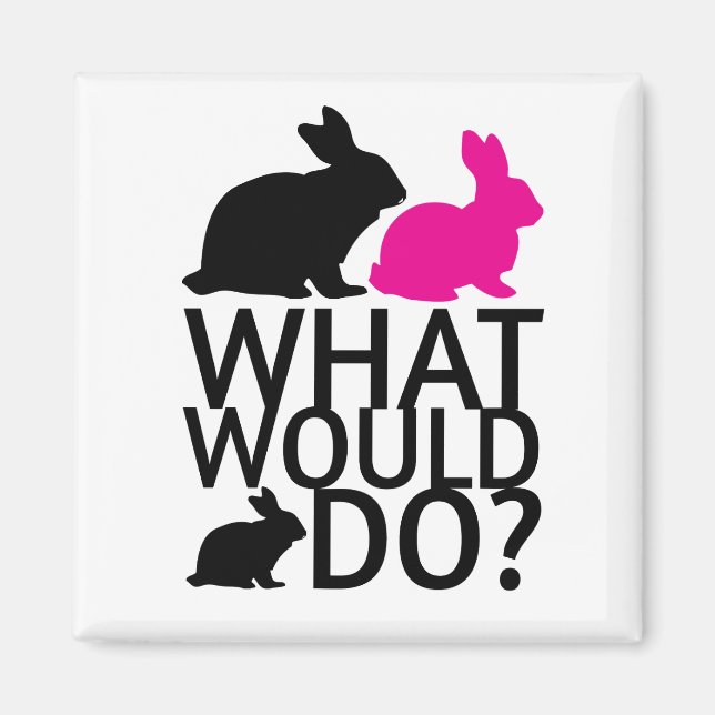 Vad skulle bunny göra? magnet (Framsidan)