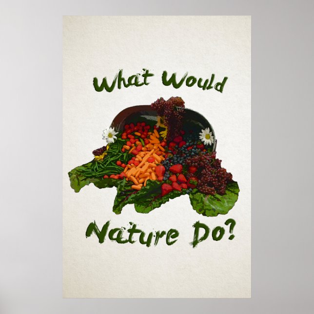 Vad skulle naturen göra? poster (Framsidan)
