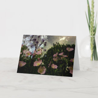 vad som blåser i skuggkortet kort