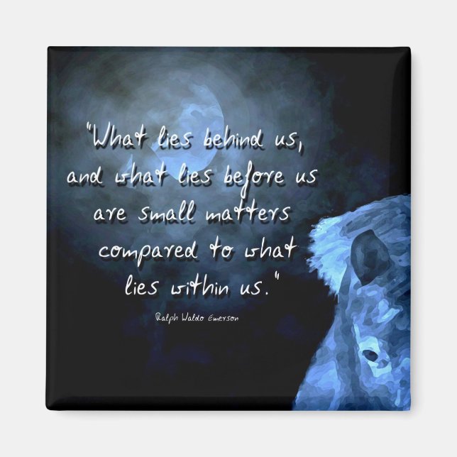 vad som ljuger bakom oss ... magnet (Framsidan)