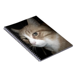 Vad tänker han på? anteckningsbok med spiral