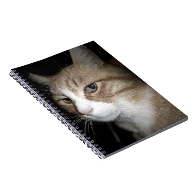 Vad tänker han på? anteckningsbok med spiral (Högra Sidan)