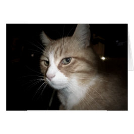 Vad tänker han på? hälsningskort