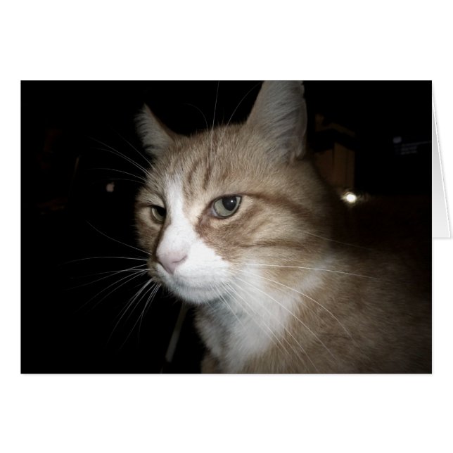 Vad tänker han på? hälsningskort (Framsidan Horizontal)