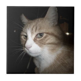 Vad tänker han på? kakelplatta