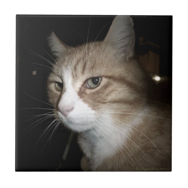 Vad tänker han på? kakelplatta (Framsidan)