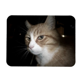 Vad tänker han på? magnet