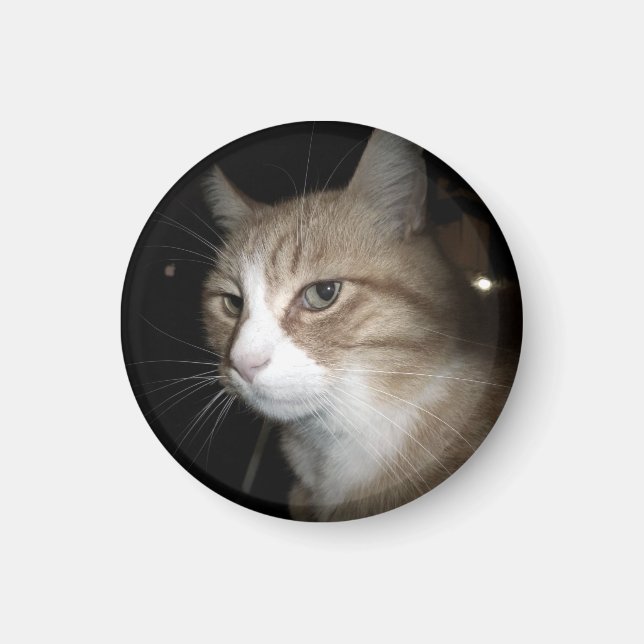 Vad tänker han på? magnet (Framsidan)