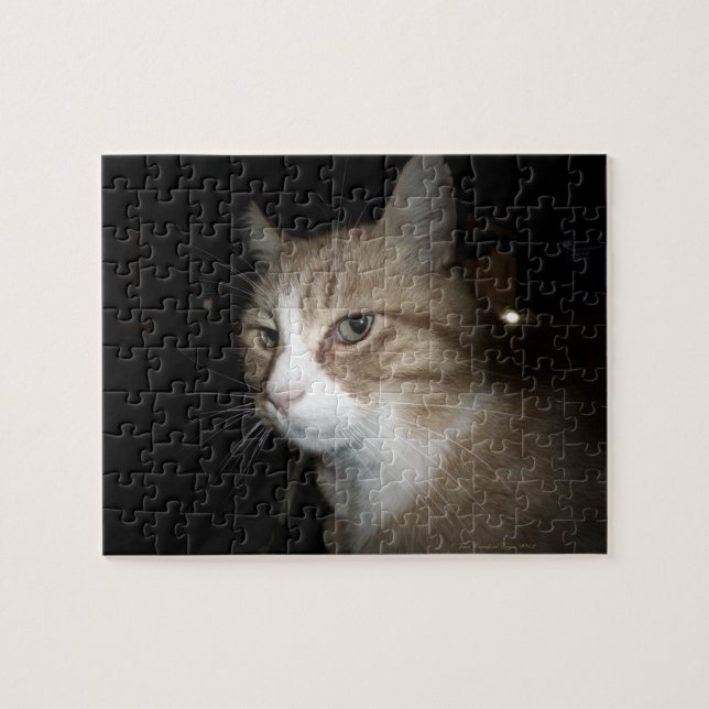 Vad tänker han på? pussel (Horisontell)