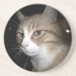 Vad tänker han på? underlägg