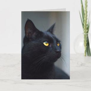 Vad tänkte din katt på hälsningskort? kort