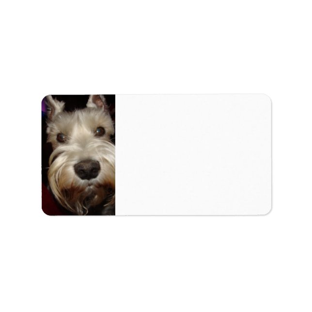 Vad tittar du på? adressetikett (Framsidan)