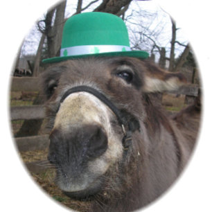 "Vad tittar du på?" Casinokort