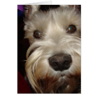 Vad Tittar du på? Hälsningskort