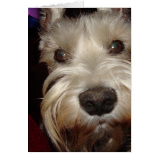 Vad Tittar du på? Hälsningskort (Framsidan)