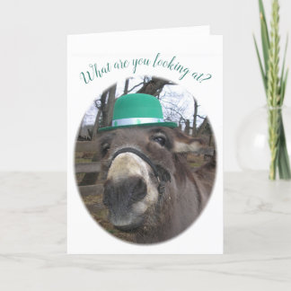 "Vad tittar du på?" Kort