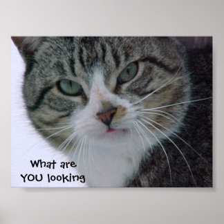 Vad tittar du på?!! poster