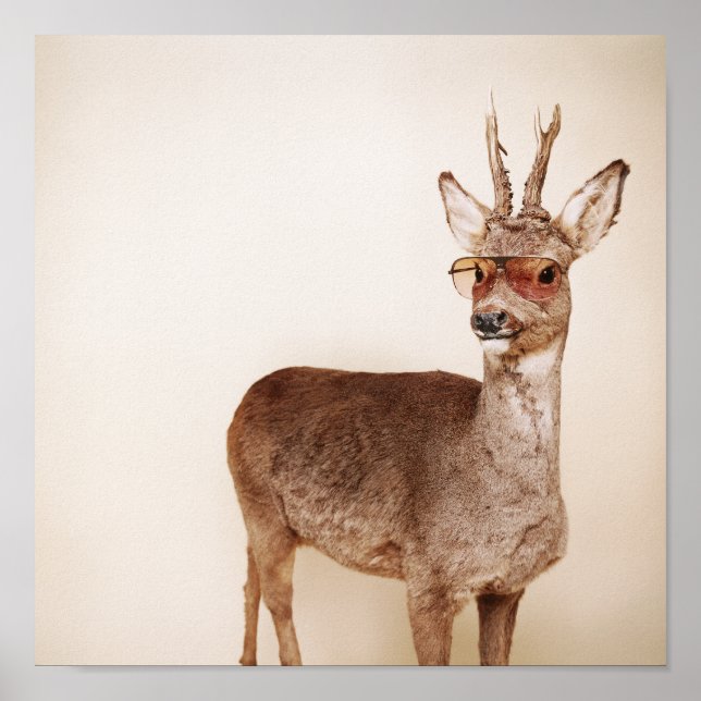 Vad tittar du på? poster (Framsidan)