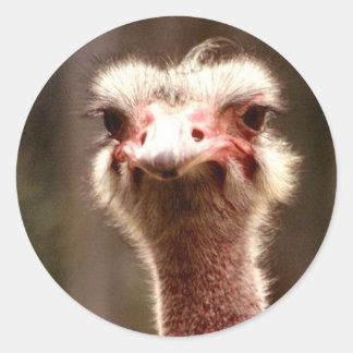 Vad tittar du på? runt klistermärke