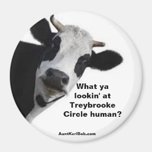 Vad tittar du på, Treybrooke Circle människa? Magnet