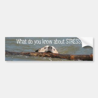Vad vet du om STRESS? Bildekal