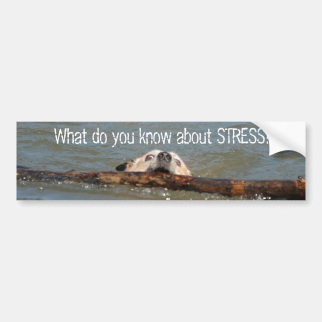 Vad vet du om STRESS? Bildekal (Framsidan)