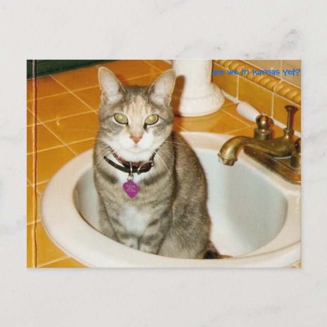 Vad vill du ha för tänka? vykort (Framsida)