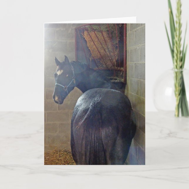 Vad vill du? kort (Framsida)