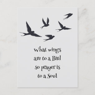 Vad Vingar är till en Bird Prayer är till en Soul Vykort