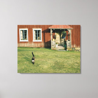 Vädda röda hus med en katt på gräsmatta. canvastryck