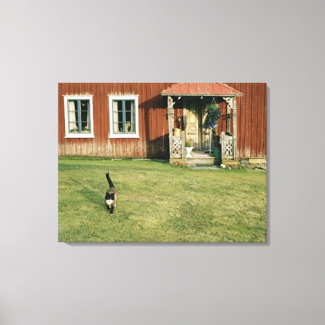 Vädda röda hus med en katt på gräsmatta. canvastryck (Framsida)