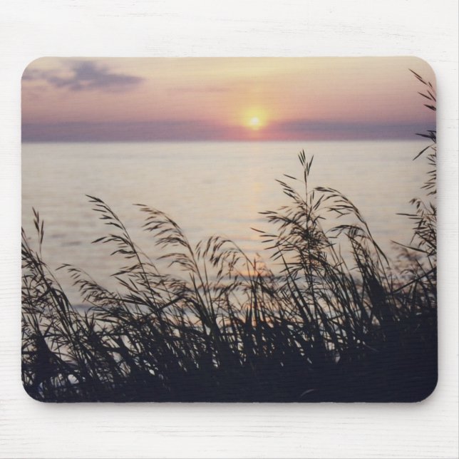 "Vadderar den Lake Michigan" fotomusen Musmatta (Framsidan)