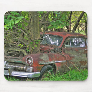 Vadderar Mercurymusen 1950 Musmatta