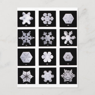 Vädderfoto för snöflingor i Tallrikar Vykort