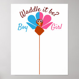 Vaddle Det är Gender att avvisa omröstningen Poster