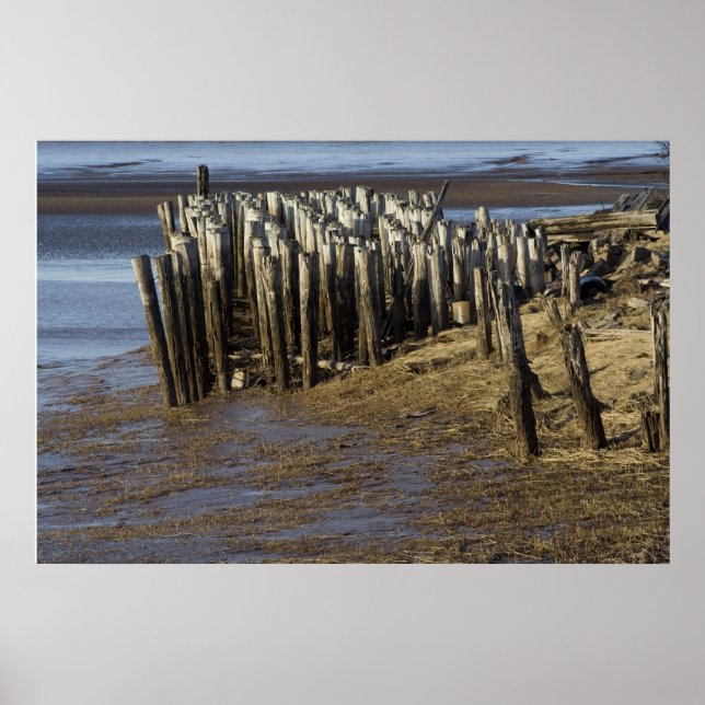 Väder och vind poster (Framsidan)