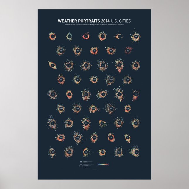 Väder Porträtt 2014: städer i USA Poster (Framsidan)