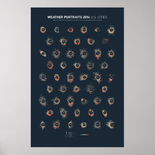 Väder Porträtt 2014: städer i USA Poster