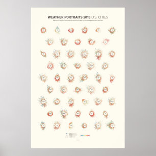 Väder Porträtt 2015: städer i USA Poster