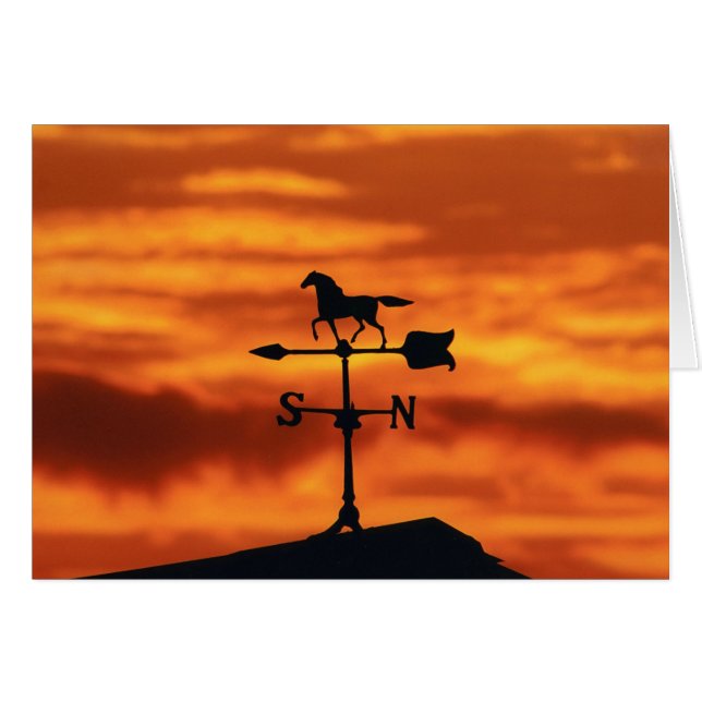 Väder Vane vid Sunset Hälsningskort (Framsidan Horizontal)